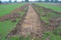 Thumbnail of TR1114