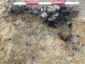 Thumbnail of East facing section of Pit 1204-04 