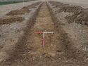 Thumbnail of North facing bault section of Ditch 529-09