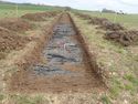 Thumbnail of TR1160