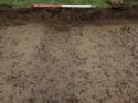 Thumbnail of South-west facing section of Ditch 189-04 
