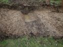 Thumbnail of West facing baulk section of Ditch 187-04 