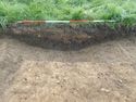 Thumbnail of In-situ animal vertebrae in Ditch 1245-15 