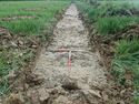 Thumbnail of TR319