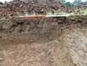 Thumbnail of South facing section of Ditch 201-04 