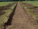 Thumbnail of TR1187