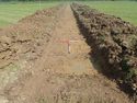 Thumbnail of TR1195