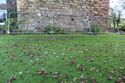 Thumbnail of Pre-excavation site shot, facing Pele Tower