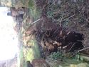 Thumbnail of TR3 from South end. 2m scale