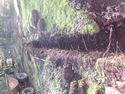 Thumbnail of TR4 from new septic tank. 2m scale