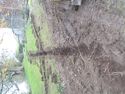Thumbnail of TR2 from East end