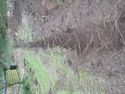Thumbnail of TR5 from North end. 2m scale
