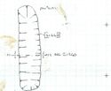 Thumbnail of Plan 21241, of 21440, No Facing