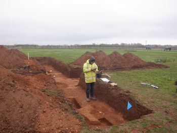 colchest3-510774: Site Data from an Archaeological Evaluation and Excavation at Hall Meadows, Hall Road, Asheldham, Essex, November 2022. Copyright:  Colchester Archaeological Trust