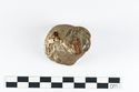 Thumbnail of Photograph of object R143 recovered from the wreck of the Royal Anne Galley