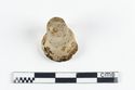 Thumbnail of Photograph of object R153 recovered from the wreck of the Royal Anne Galley