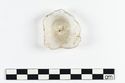 Thumbnail of Photograph of object R200 recovered from the wreck of the Royal Anne Galley