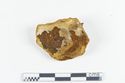 Thumbnail of Photograph of object R208 recovered from the wreck of the Royal Anne Galley
