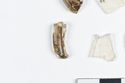 Thumbnail of Photograph of object R217 recovered from the wreck of the Royal Anne Galley