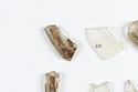 Thumbnail of Photograph of object R217 recovered from the wreck of the Royal Anne Galley