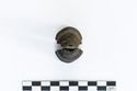 Thumbnail of Photograph of object R235 recovered from the wreck of the Royal Anne Galley