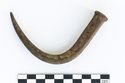 Thumbnail of Photograph of object R252 recovered from the wreck of the Royal Anne Galley