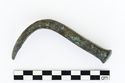 Thumbnail of Photograph of object R262 recovered from the wreck of the Royal Anne Galley