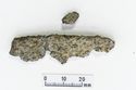 Thumbnail of Photograph of object R289 recovered from the wreck of the Royal Anne Galley