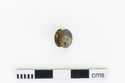 Thumbnail of Photograph of object R298 recovered from the wreck of the Royal Anne Galley
