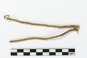 Thumbnail of Photograph of object R327 recovered from the wreck of the Royal Anne Galley