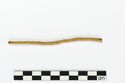 Thumbnail of Photograph of object R328 recovered from the wreck of the Royal Anne Galley