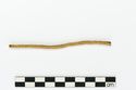 Thumbnail of Photograph of object R328 recovered from the wreck of the Royal Anne Galley