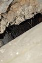 Thumbnail of View to west. Void in floor beneath southern window on west wall.