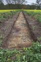 Thumbnail of Trench 15 Trench shot view from west.jpg