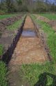 Thumbnail of Trench 1 Trench shot taken from south.jpg