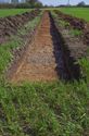 Thumbnail of Trench 2 Trench shot view from south.jpg
