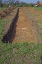 Thumbnail of Trench 6 Trench shot view from east.jpg