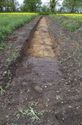 Thumbnail of Trench 8 Trench shot view from north east.jpg