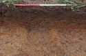 Thumbnail of Gully 404. Viewed from NE