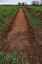 Thumbnail of Record shot of trench 4. Viewed from NW