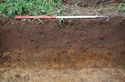 Thumbnail of Record shot of trench 14. Viewed from NE