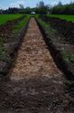 Thumbnail of Record shot of trench 1. Viewed from S
