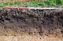 Thumbnail of Record shot of trench 1. Viewed from SW