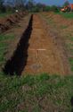 Thumbnail of Record shot of trench 6. Viewed from E