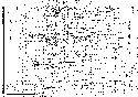 Thumbnail of Section and plan of tree throw 1506