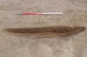 Thumbnail of Pit 1146