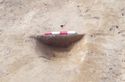 Thumbnail of Secondary fill 1161