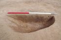 Thumbnail of Pit 1170