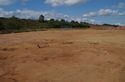Thumbnail of Ditch 1183
