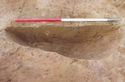 Thumbnail of Pit 1237